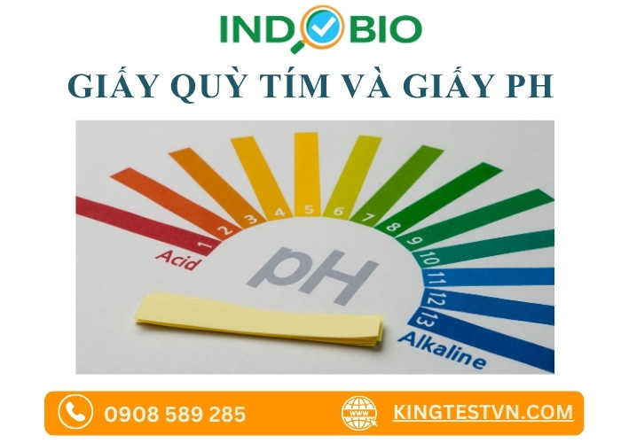 Giấy quỳ tím và giấy pH là giấy gì?